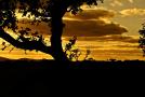Atardecer